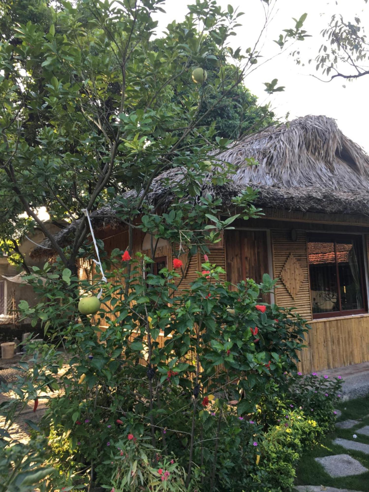 Tam Coc Palm House Villa นิญบิ่ญ ภายนอก รูปภาพ